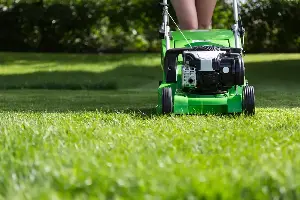Lori Borgman: I fought the lawn and the lawn won