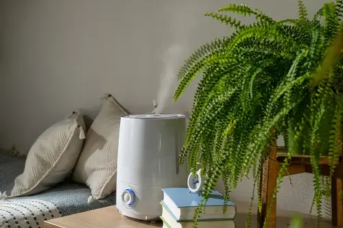 Especially in places where summers are dry, a humidifier can be a game-changer for maintaining skin hydration.
