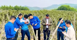 Digital transformation in villages can begin with something that the villagers need.