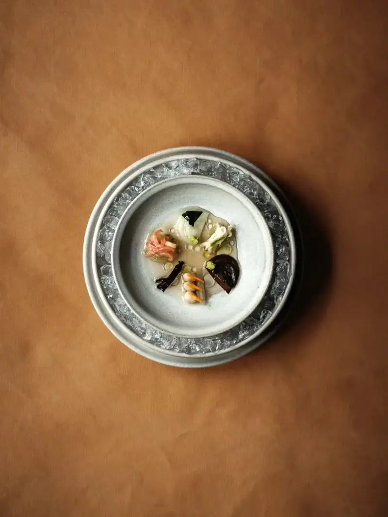 Mahogany clams, carpet clams and cockles with raw, salted and pickled vegetables. Icelandic wasabi and a sauce made from blue mussels and fermented peas.
