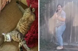 Cat-obsessed sisters hilariously convince parents to keep kitten with "rescue" ruse