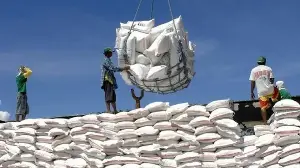 Demand recovers, Asian rice prices surge across the board.
