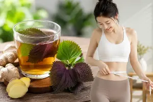 Does drinking perilla leaf tea with ginger help with weight loss?