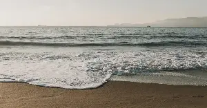 A small wave breaking on a beach contains more living organisms than the total number of humans who have ever existed on Earth — roughly 10 million bacteria, viruses, and tiny plankton in every milliliter of seawater — meaning every wave that touches the shore carries a population of life that vastly outnumbers every person who has ever lived in the entire history of our species