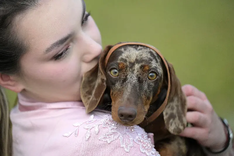 Gentle and loving eye contact signals deep emotional connection, research found (AFP/Getty)