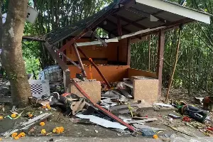 Insurance scheme for elephant damage proposed