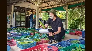 One in a melon: A plant breeder’s 48-year love affair with gourds