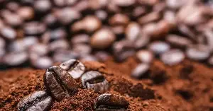 Coffee prices at noon on July 30, 2026: Prices plummet but ICE inventories fall to their lowest level in over two years.
