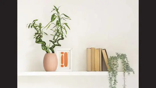 Style a shelf the Shin-soe-tai way to create balance. (SHUTTERSTOCK)