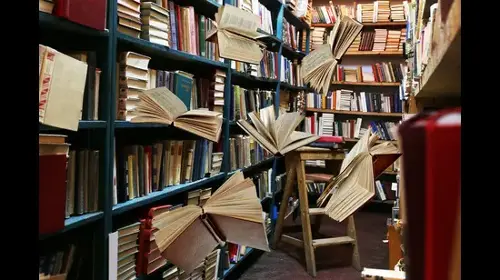 The library as a magical space (Shutterstock)