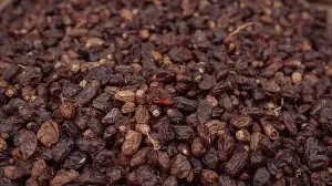 Delhi gastroenterologist shares benefits of eating raisins regularly: How it supports gut and heart health