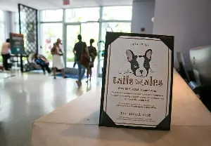 Miami luxury hotels have found their newest VIP — the pampered family dog