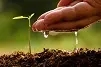 Gardening by hand