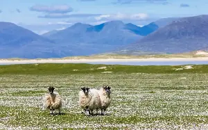Forget the Med, Scotland is the perfect holiday destination