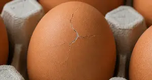 Should you eat eggs with cracked shells? Experts warn of a little-noticed risk.