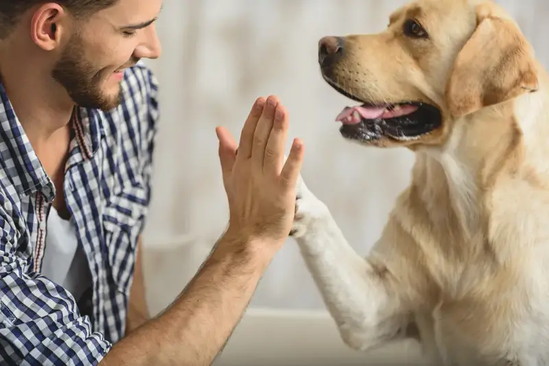 Pets give you a sense of purpose.