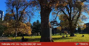 Melbourne in winter colors