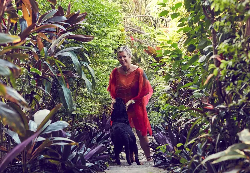 Plant, Vegetation, Jungle