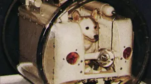 In 1957, a stray dog became the first animal in orbit: What Laika's lonely mission taught scientists