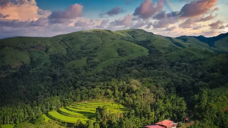 The birthplace of Indian coffee is at its most fragrant during the monsoon.