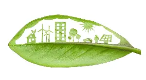 Seed of a good idea: Student earns national recognition tackling reforestation, climate solutions