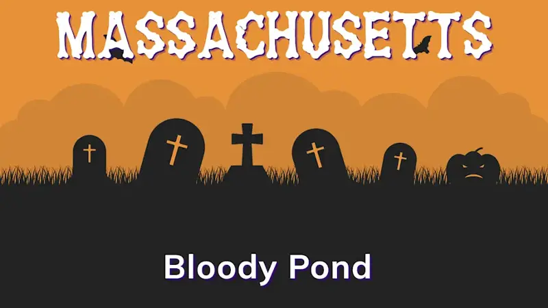 Graphic of a graveyard with a state and place name, in orange