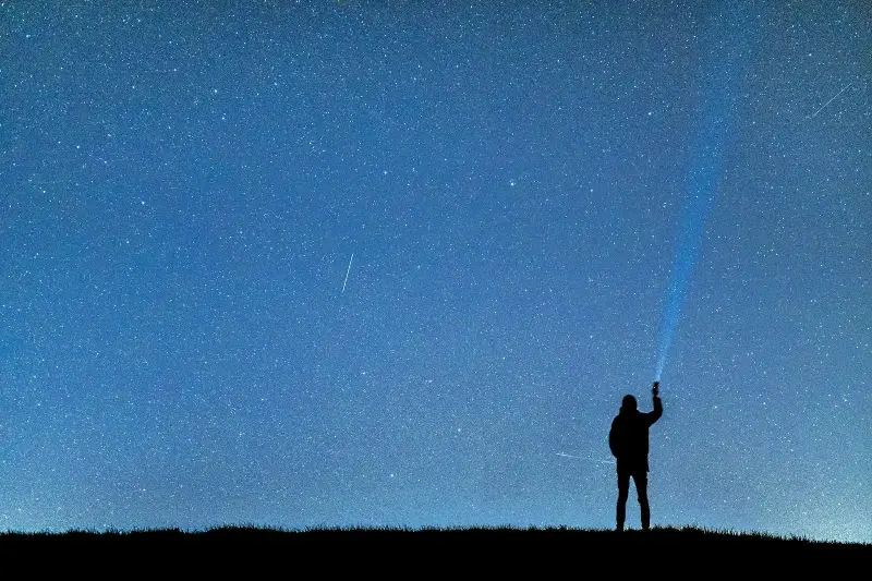The cells in your eyes that detect light are technically part of your brain, pushed outward during embryonic development, which means when you look at the night sky your brain is physically touching the photons that left distant stars thousands of years ago.