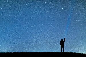 The cells in your eyes that detect light are technically part of your brain, pushed outward during embryonic development, which means when you look at the night sky your brain is physically touching the photons that left distant stars thousands of years ago.