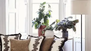 3 Things to Do the Moment Your Houseplants Start Growing in Spring – Skip Them and Your Plants Could Suffer