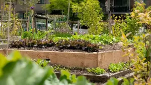 Don’t Plant Just Yet – 7 Early March Jobs to Replenish Your Raised Garden Beds in Time for Spring