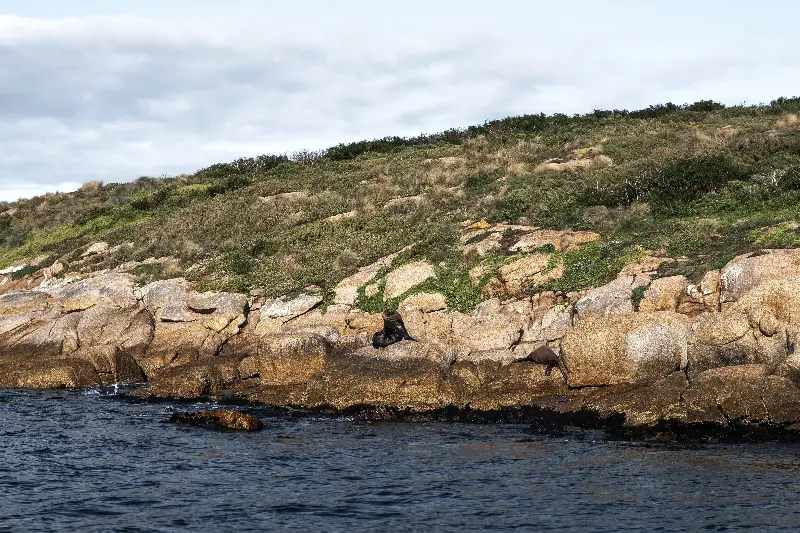 Exploring Freycinet National Park by sea offers couples a slower, more mindful way to experience Tasmania. 