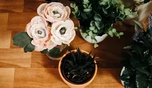 I love sprucing up my space with artificial plants to add some much-needed greenery; here are 8 favourites I'd recommend