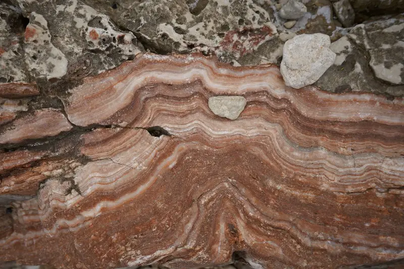 Close view of a banded rock formation with rust-coloured and pale mineral layers