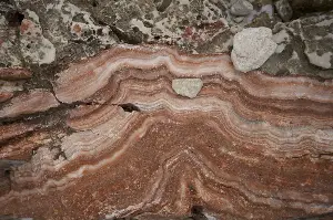 Oxygen's origins trace back to cyanobacteria