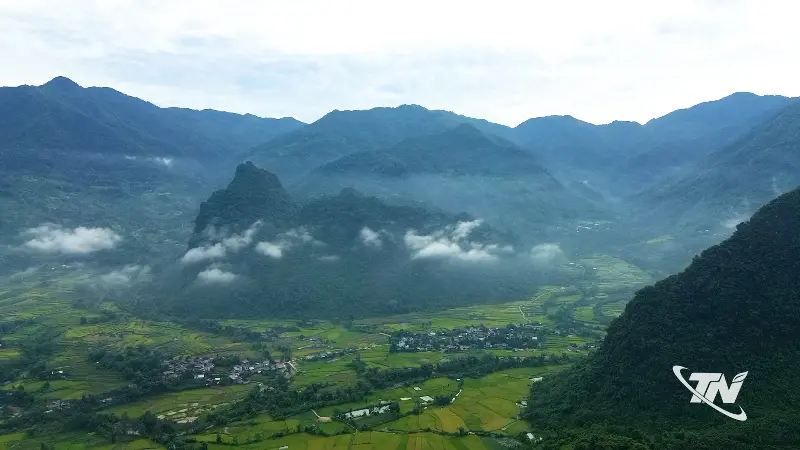 The cool climate in the high mountainous region of Dong Phuc commune is suitable for growing and developing Shan Tuyet tea plants.