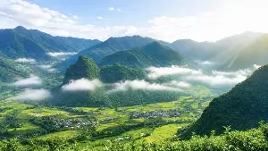 Dong Phuc 'awakens' the aroma of tea in the clouds.