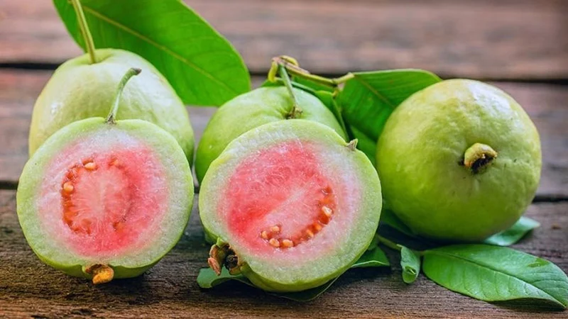 5 nhóm người không nên ăn ổi- Ảnh 1.