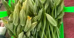 The flower that many people pick and throw away is actually a summer "specialty," being both crispy and sweet and easy to prepare into many delicious dishes.
