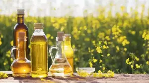 Best and worst cooking oils revealed: Hyderabad oncologist gives ghee 9/10, refined sunflower oil gets a ‘big zero’