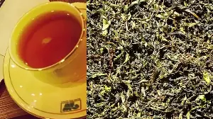 Darjeeling Tea And The Return Of Forgotten Heritage Routes
