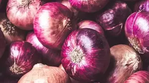 Did you know onions can reduce cholesterol? Fitness coach shares 4 surprising benefits of the ‘humble’ vegetable