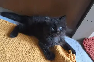 Woman Leaves Home To Buy Groceries, 3 Hours Later There’s a Surprise