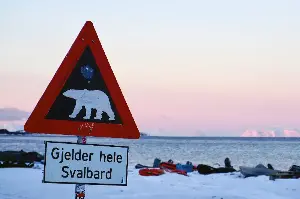 Earth Talk: Polar bears