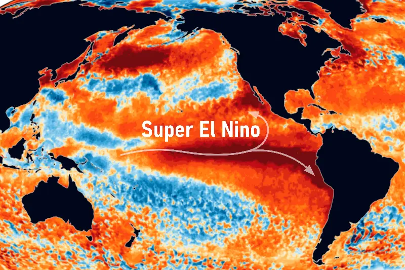 Recent data shows the Pacific is around 2.6C above the 30-year average (aapsky - stock.adobe.com)