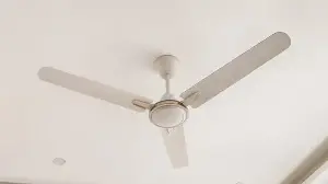 Everyday explained: Why do ceiling fans usually have three blades? Here’s the science behind it