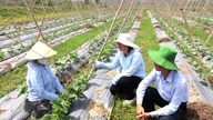 Enhancing production value in 