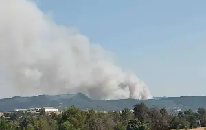 España sufre el doble de hectáreas quemadas por una ola de calor extrema