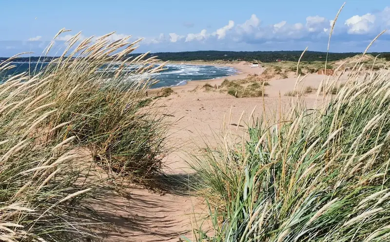 The Swedish Riviera is easily reached via Gothenburg - iStockphoto