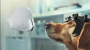New role for man’s best friend: Detecting cancer