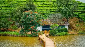 Scenic Mountain Stays: Ideal Retreats for Weekend Travellers